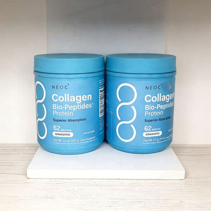 Nutritional protein powder