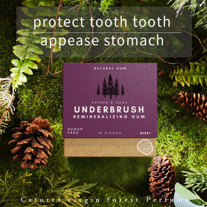 Organic Mastic Mint Remineralizing Chewing Gum