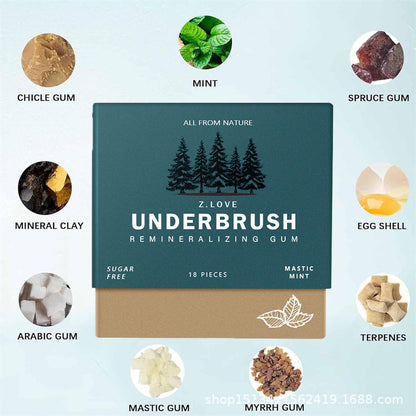 Organic Mastic Mint Remineralizing Chewing Gum