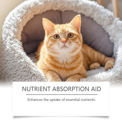 Kriath Cat Probiotic Drops